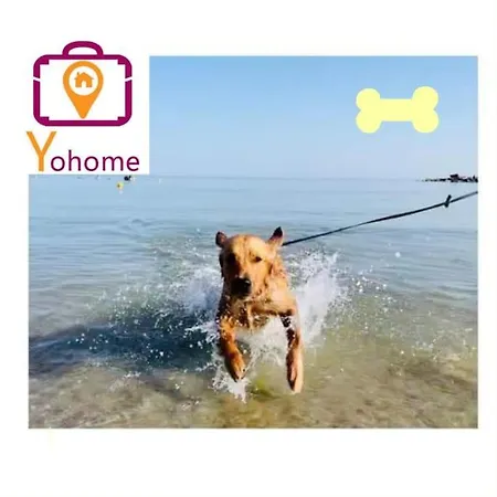 Del Moro Centro Mare By Yohome *